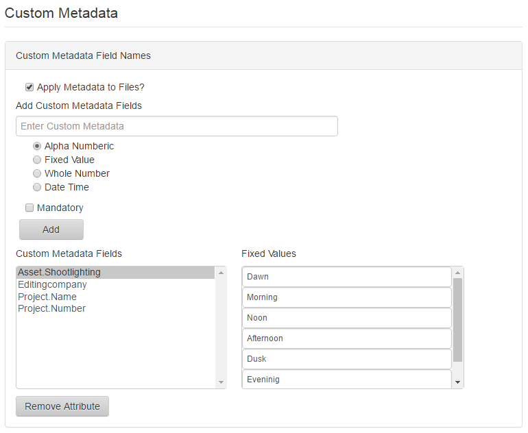 custom metadata fields