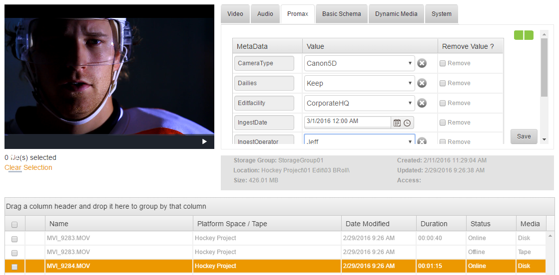 metadata with hockey player