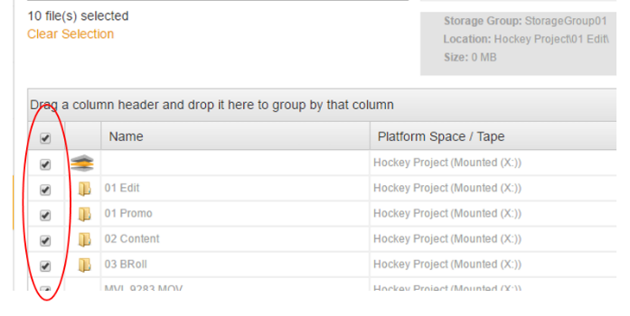 select all checkbox