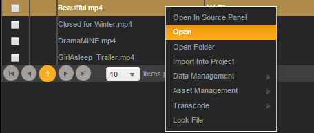 premiere panel open